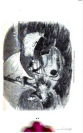 visit page 13