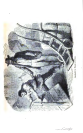 visit page 79