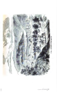 visit page 95